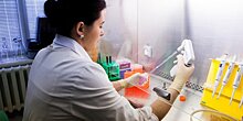 Новый препарат для диагностики рака создали томские ученые