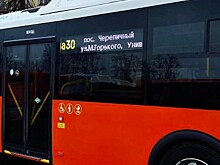 Табло на автобусах и электробусах в Нижнем Новгороде обновят