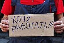 В Московской области через службу занятости ищут работу более 103 тысяч человек
