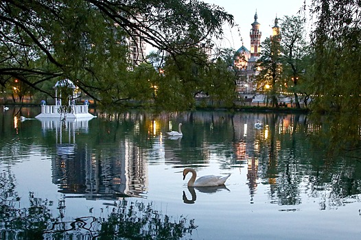 В главном парке Владикавказа восстановят детский пруд