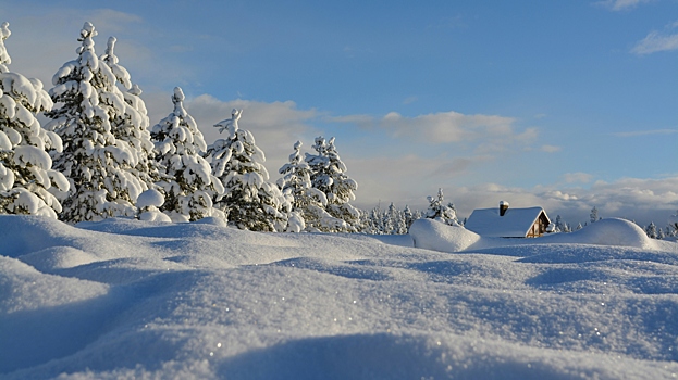 Приметы и поверья на 14 февраля: что нельзя делать в Трифонов день