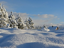 Приметы и поверья на 14 февраля: что нельзя делать в Трифонов день