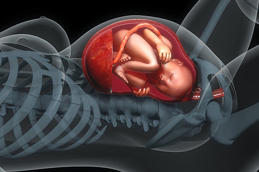 Российские медики нашли причину позднего токсикоза при беременности