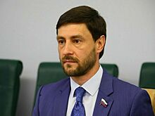 Сенатор предложил приостановить надзорные проверки для мобилизованных бизнесменов