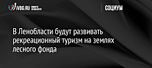 В Ленобласти будут развивать рекреационный туризм на землях лесного фонда