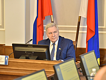 Донские депутаты предложили расширить права инвалидов на социальную газификацию