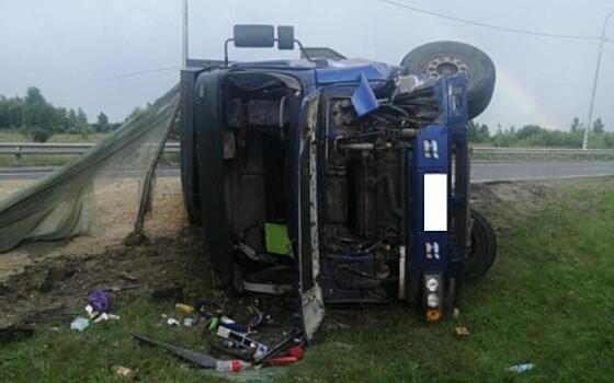 Два человека пострадали в ДТП с грузовиком и Renault в Спасском районе