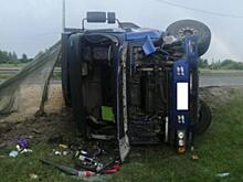 Два человека пострадали в ДТП с грузовиком и Renault в Спасском районе