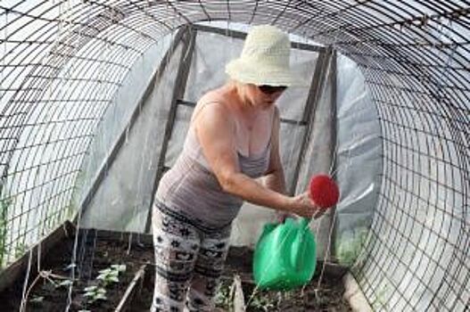 У кого теплица готова? Чем заняться садоводу в начале мая