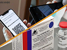 «Давят через бизнес»: работодатели Новосибирска об обязательной вакцинации