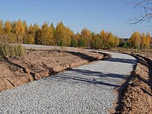 Между Южным парком и сквером Драгунова в Ижевске проложат тропу здоровья
