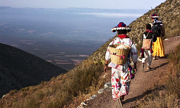 Паломнический маршрут коренного народа Мексики включен в список ЮНЕСКО