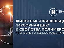 Животные-пришельцы, «мусорная ДНК» и свойства полимеров: премьеры на телеканале «Наука»