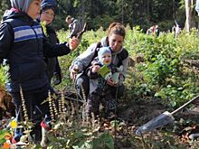 Свыше 1,5 тысяч красногорцев присоединились к областной акции "Наш лес. Посади свое дерево"
