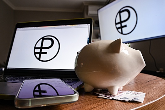 В ЦБ рассказали, как уберечь деньги от мошенников при оплате онлайн-покупок