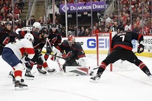 Sportskeeda (США): Дмитрий Орлов с высокой вероятностью не останется в «Каролине»