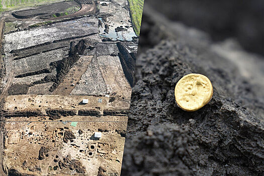 В Чехии нашли крупнейший клад эпохи кельтов