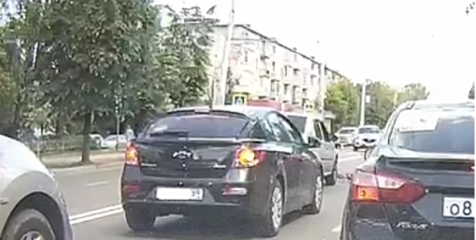 В Костроме на оживленной улице остановили движение ради уток