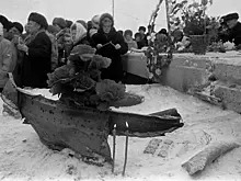 Почему в 1994 году пассажирский самолет рухнул на землю