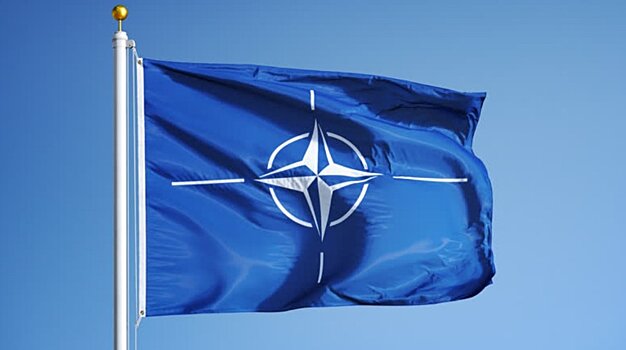 В ГД назвали мистификацией наличие «секретного плана» нападения России на НАТО