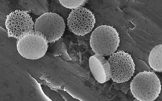 Физики перемешали наночастицы в микрофлюидных каналах