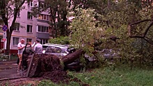 Мятые машины и поваленные деревья: какие разрушения вызвал сильный ветер в Москве и области