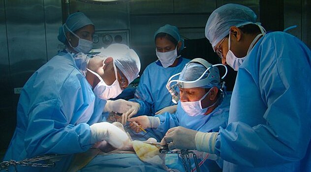 Трансплантация сложных органов давно умерших людей стала возможной