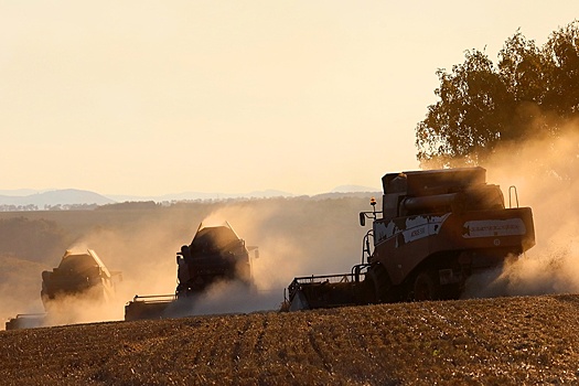 Каким будет урожай 2025 года