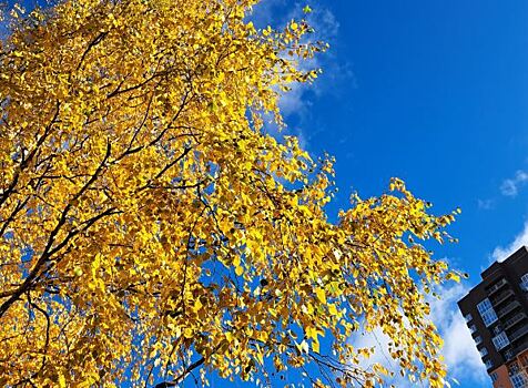 В Челябинской области резко потеплеет до +26 градусов