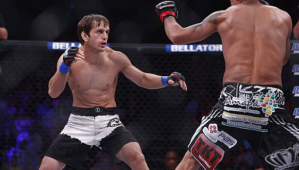 Боец MMA чуть не умер из-за бездействия судьи