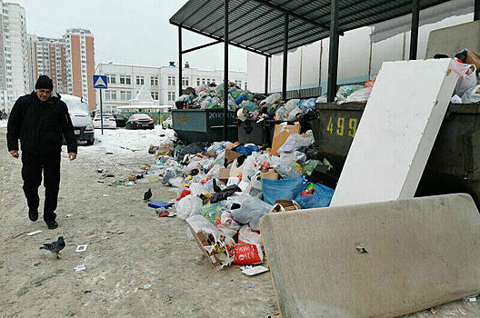 Просроченные продукты предложили отдавать на корм животным после переработки