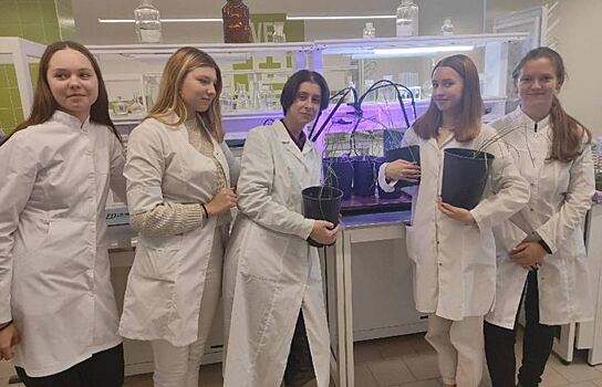 Проект по выращиванию чуфы в Подмосковье реализует команда Коломенского аграрного колледжа имени Козлова