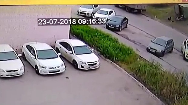 Видео: в Самаре грузовая «газель» переехала человека