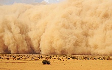 Раскрыта польза от пыли из Сахары