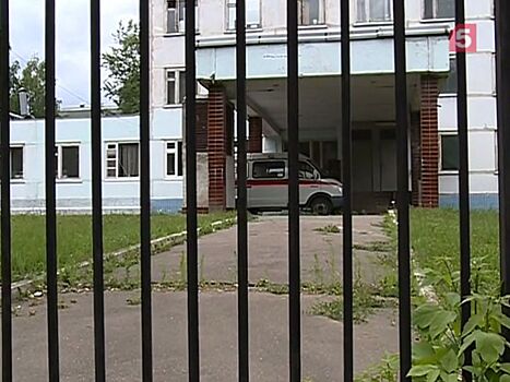 Мизулина направит запрос генпрокурору связи с делом украденного в Дедовске ребенка