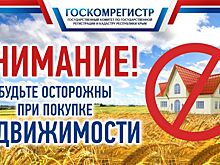 При покупке земельных участков обращайте внимание на установленный для них вид разрешенного использования