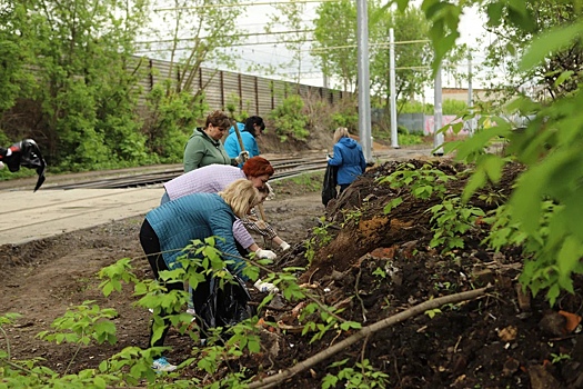 Более 20 тысяч курян 27 апреля приняли участие во Всероссийском субботнике