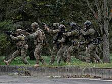 В Литве призвали к укреплению европейских вооруженных сил