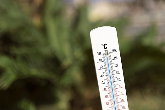 В райцентре Новосибирской области столбик термометра достиг отметки в +50 градусов