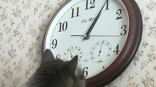 В Югре начал действовать зимний режим комендантского часа для несовершеннолетних