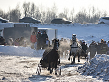 В Сасовском районе прошли традиционные конные бега