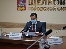 Глава Щелкова провел встречу с молодогвардейцами
