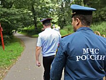 Патрулирование природных территорий в Москве усилят в майские праздники
