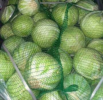 Костромской губернатор потребовал ещё больше овощей