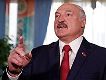 Лукашенко вовлек в предвыборную кампанию защитников Донбасса
