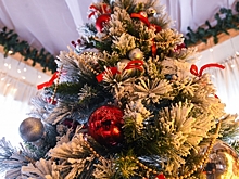 Стала известна культурная программа на Новый год в Волгоградской области