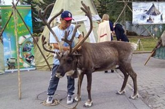 В Красноярске проходит фестиваль коренных народов мира