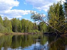Шестилетний ребенок утонул по вине невнимательного отца в Чагодощенском районе