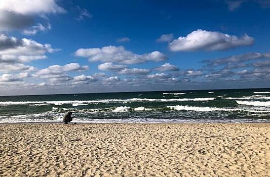 Два человека утонули во Владивостоке