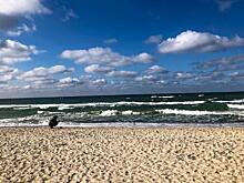 Два человека утонули во Владивостоке